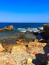 Load image into Gallery viewer, Access to my private lifestyle Ebook